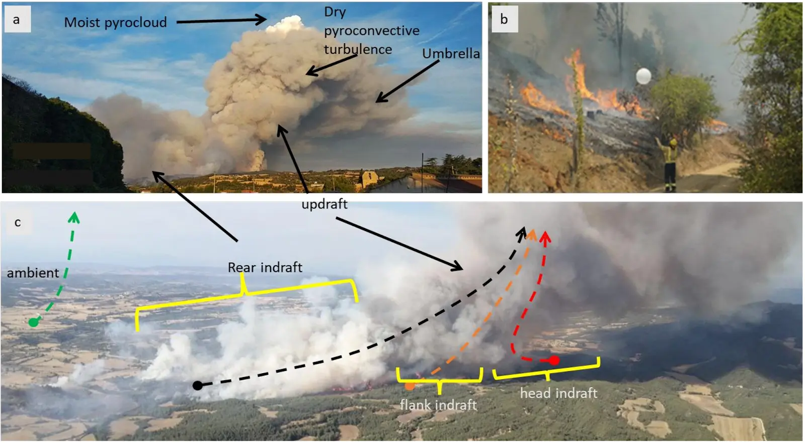 Explanation of how a wildfire behaves and how windsond can help understand it.